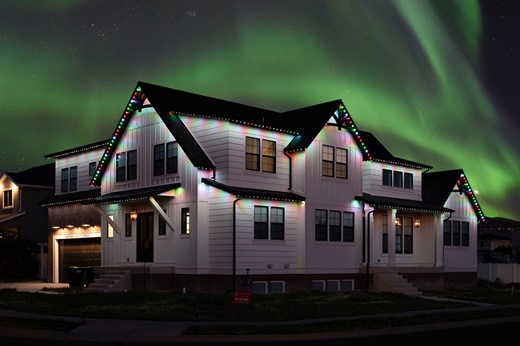 Jellyfish, Jellyfish Christmas lights, Permanent Christmas, Lights, Permanent, Permenant, LED, 